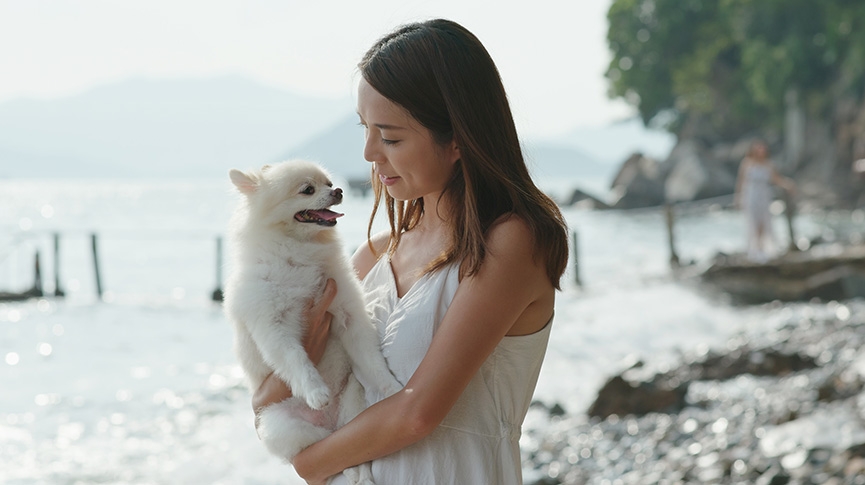 博美犬松鼠狗分別是什麼-松鼠狗常見健康問題-飼養貼士